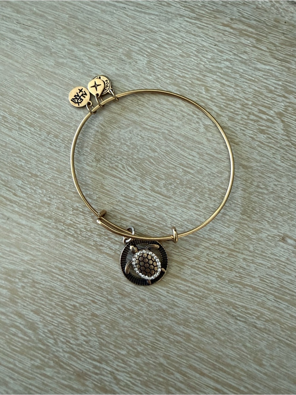 Alex and Ani Gold Turtle Disc Charm Bangle Bracelet